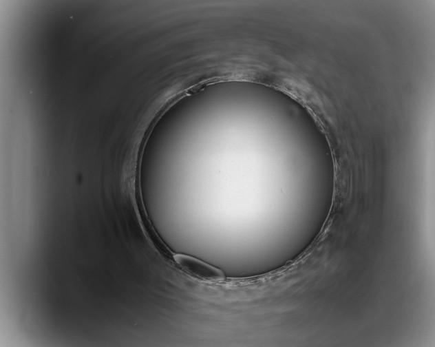 X0000090700003200707201206