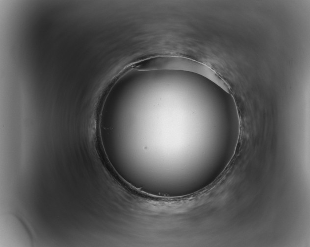 X0000090700005200707201206