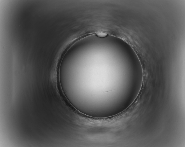 X0000090700006200707201206