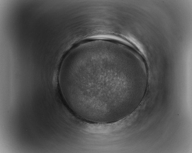 X0000090700009200707201206