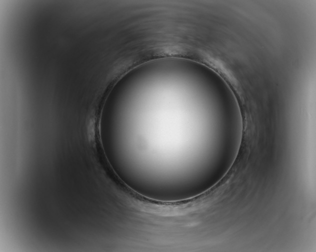 X0000090700010200707201205