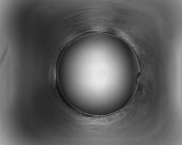 X0000090700011200707201205