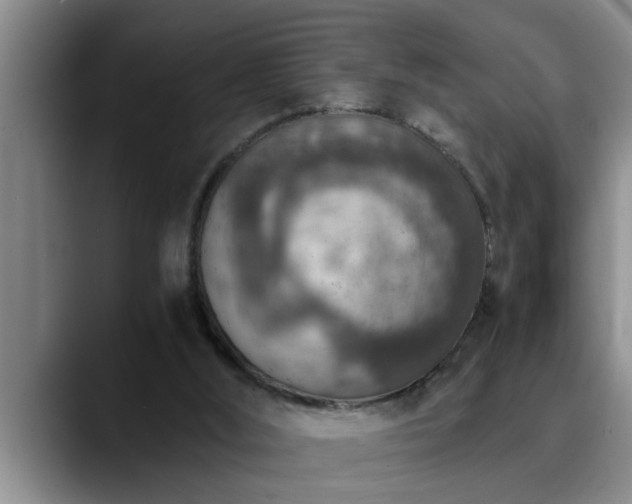 X0000090700012200707201205