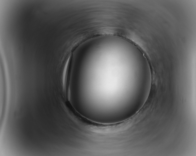 X0000090700013200707201205