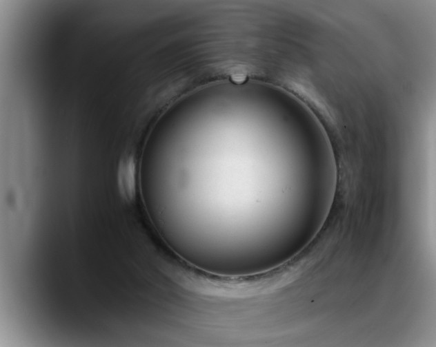 X0000090700014200707201205