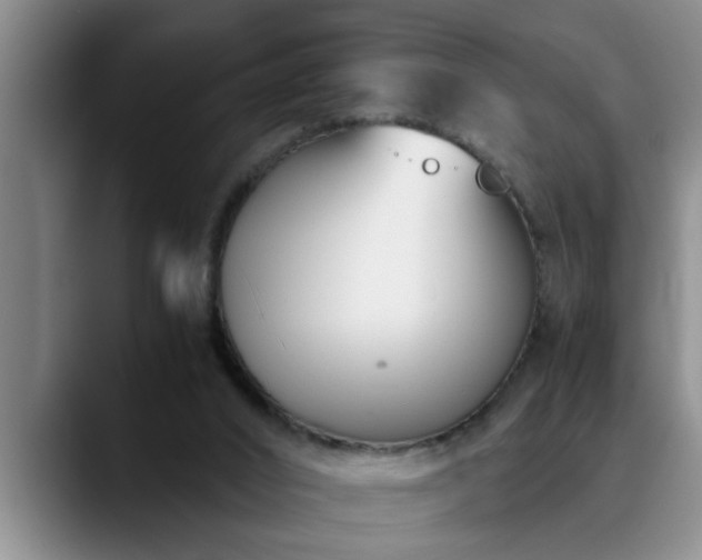 X0000090700016200707201205