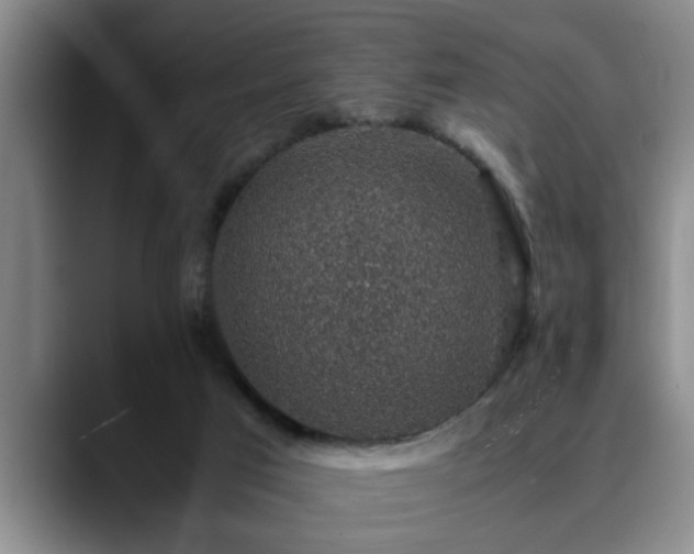 X0000090700017200707201205