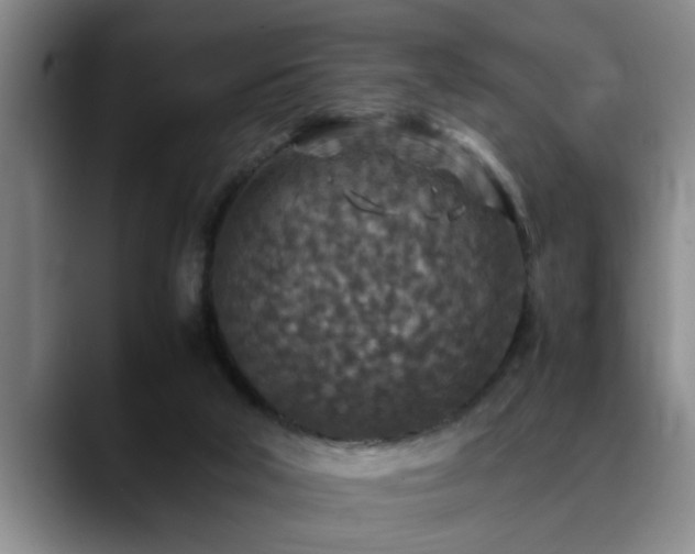 X0000090700018200707201205