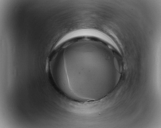 X0000090700019200707201205