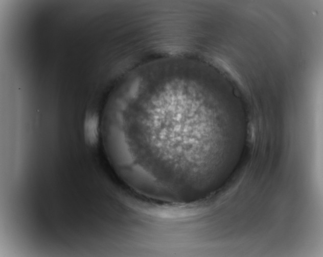 X0000090700024200707201205