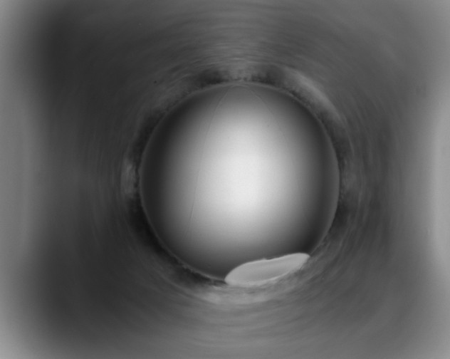 X0000090700025200707201205