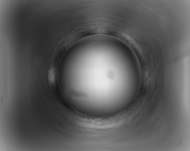 X0000090700026200707201205