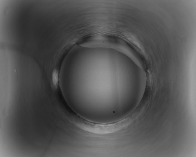 X0000090700027200707201205