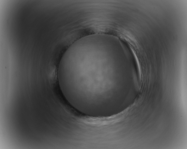 X0000090700029200707201205