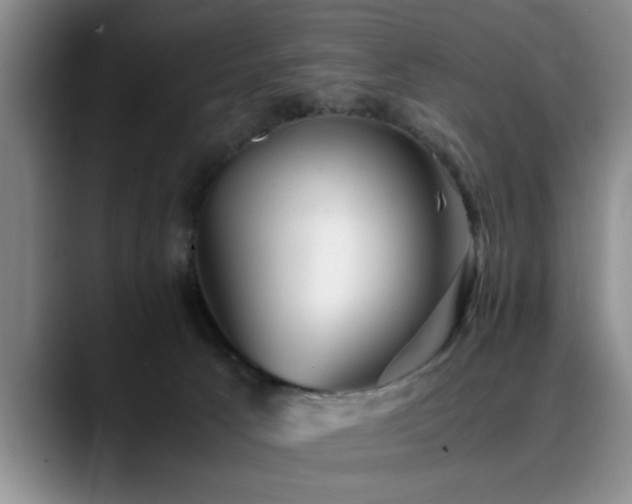 X0000090700033200707201205