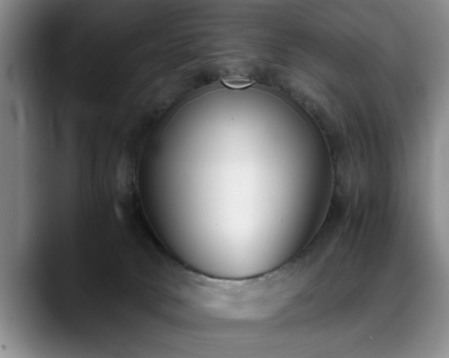 X0000090700034200707201205