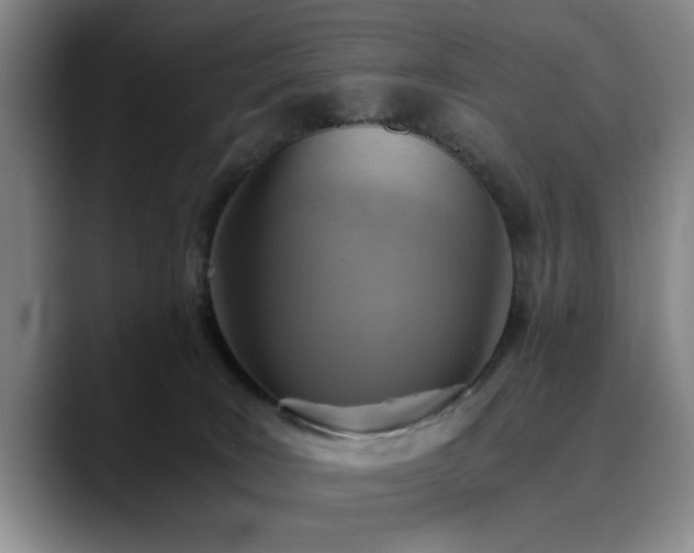 X0000090700035200707201205