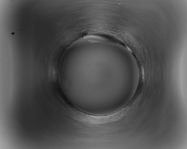 X0000090700039200707201205