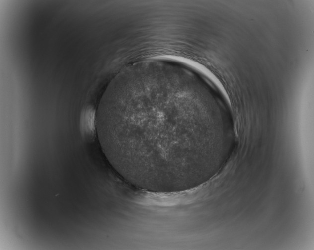 X0000090700041200707201205