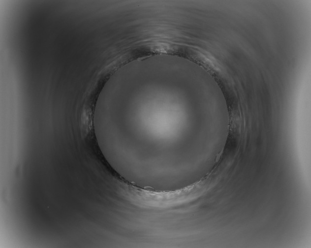 X0000090700043200707201205