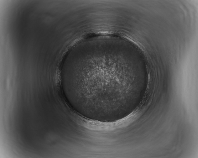 X0000090700048200707201205