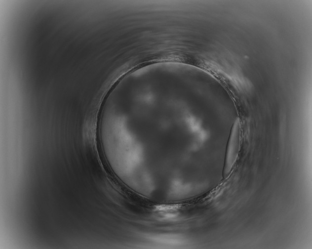 X0000090700051200707201205