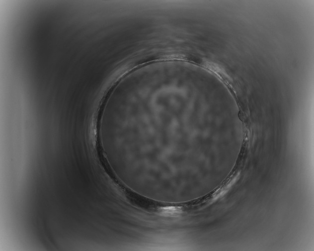 X0000090700053200707201205