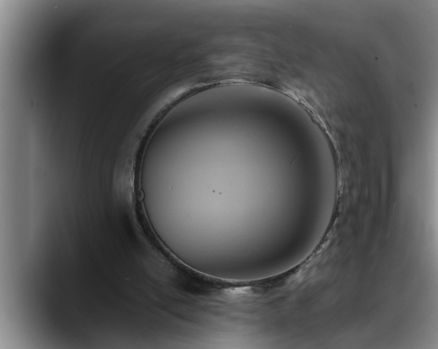 X0000090700054200707201205