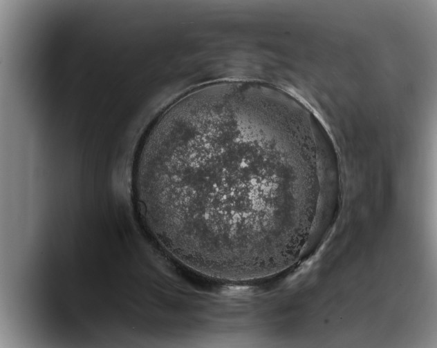 X0000090700055200707201205