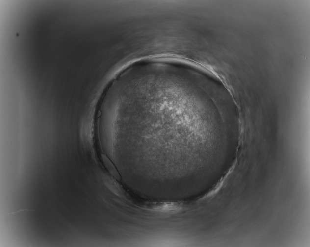 X0000090700056200707201205