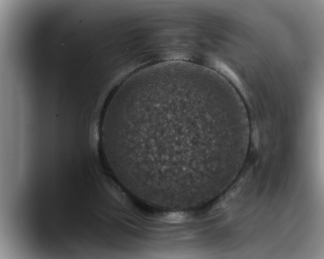 X0000090700059200707201205