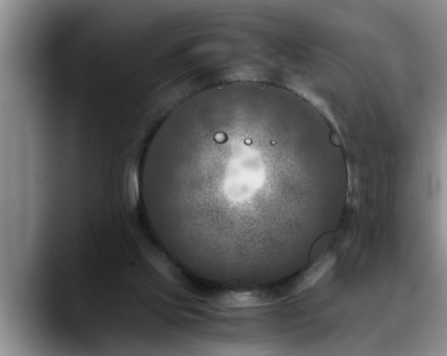 X0000090700061200707201205