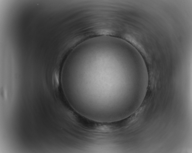 X0000090700062200707201205