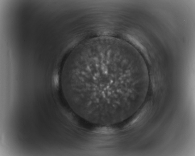 X0000090700067200707201205