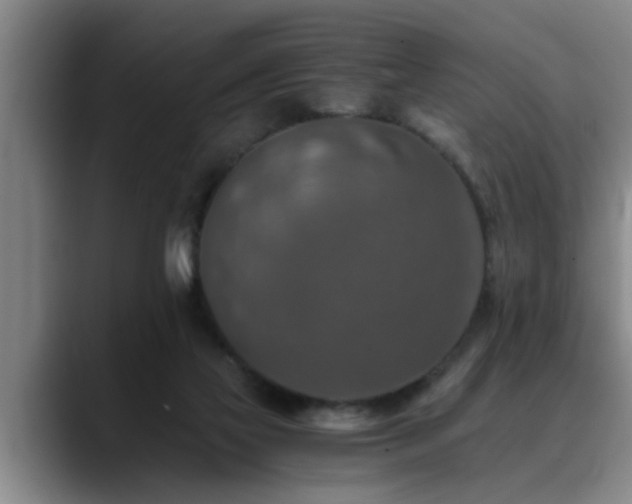 X0000090700069200707201205