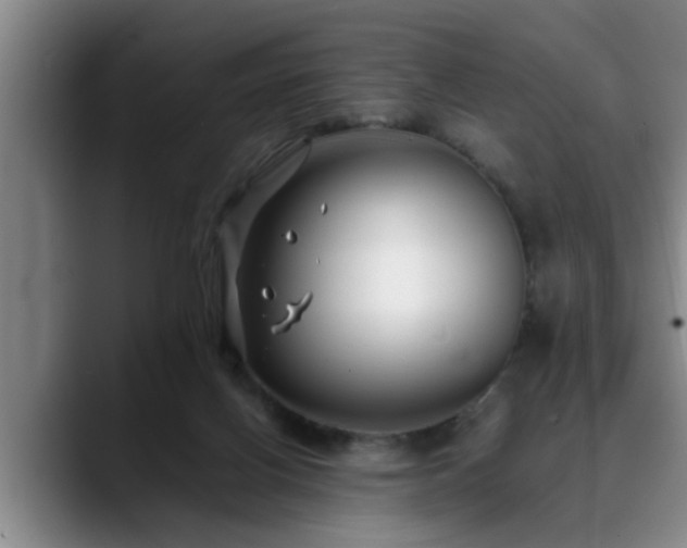 X0000090700070200707201205