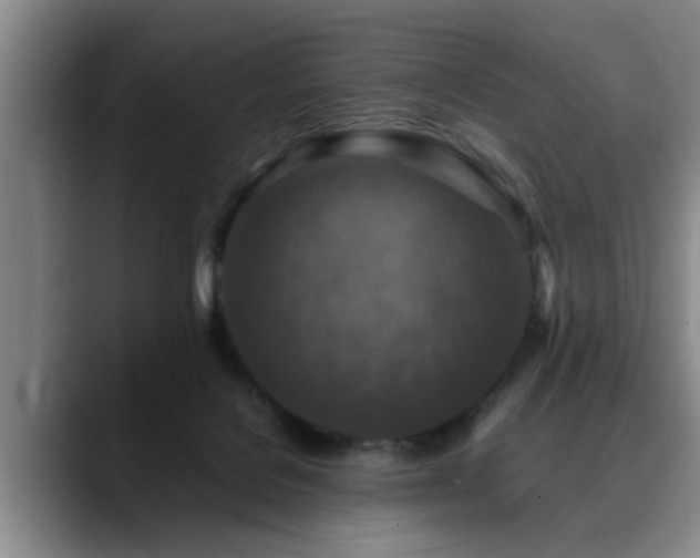 X0000090700076200707201205