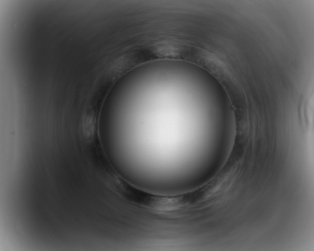 X0000090700081200707201205