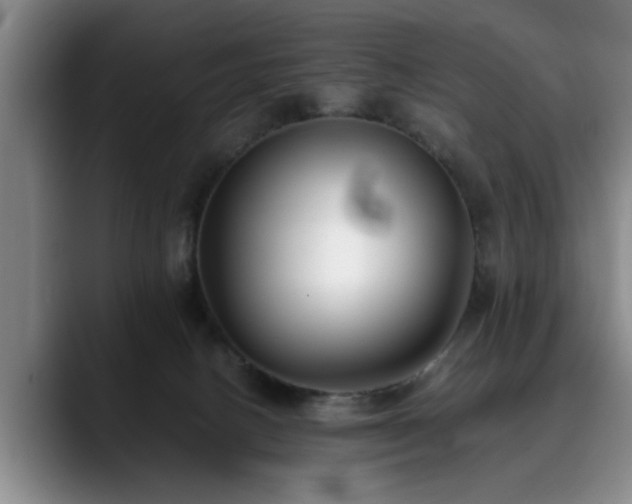 X0000090700082200707201205