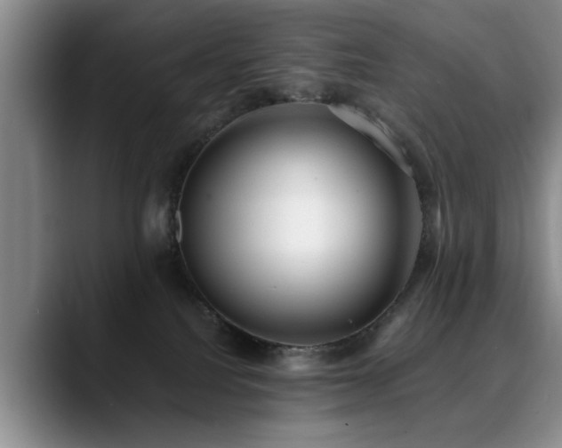 X0000090700088200707201205