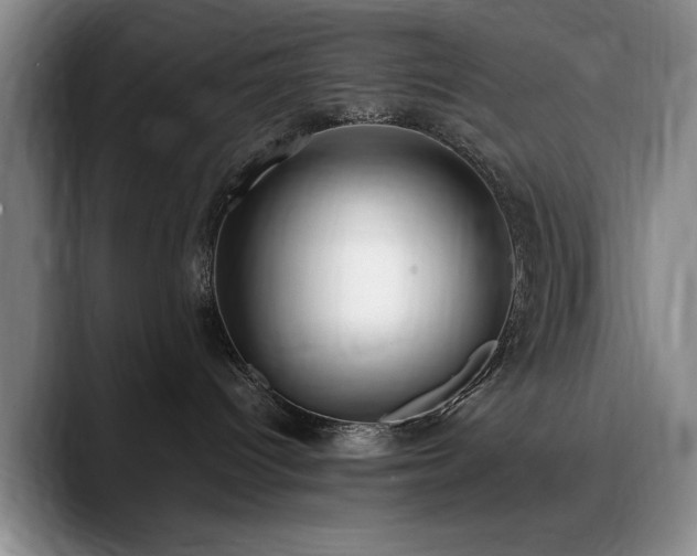 X0000090700096200707201205