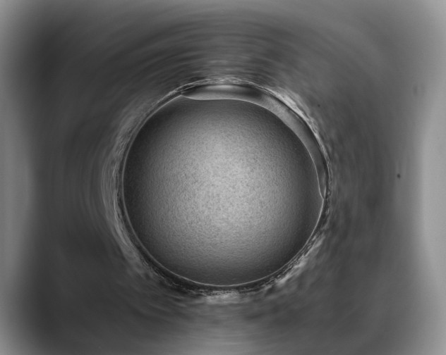 X0000090700097200707201204