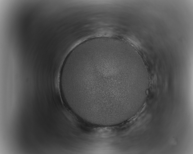 X0000090700100200707201204