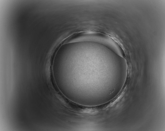 X0000090700101200707201204