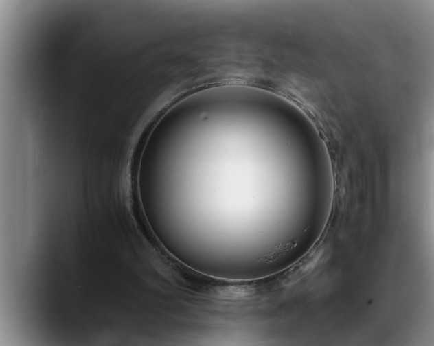 X0000090700102200707201204