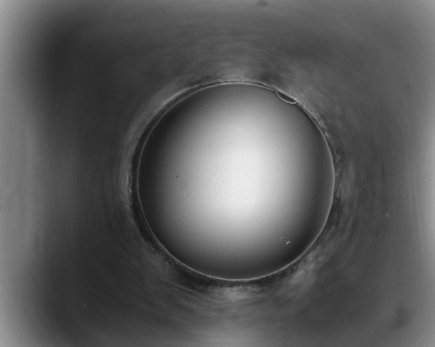 X0000090700103200707201204