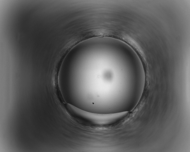 X0000090700105200707201204