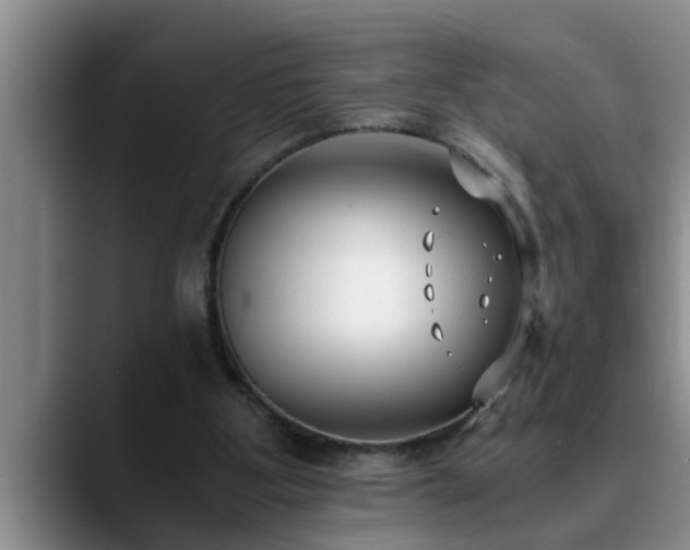 X0000090700107200707201204