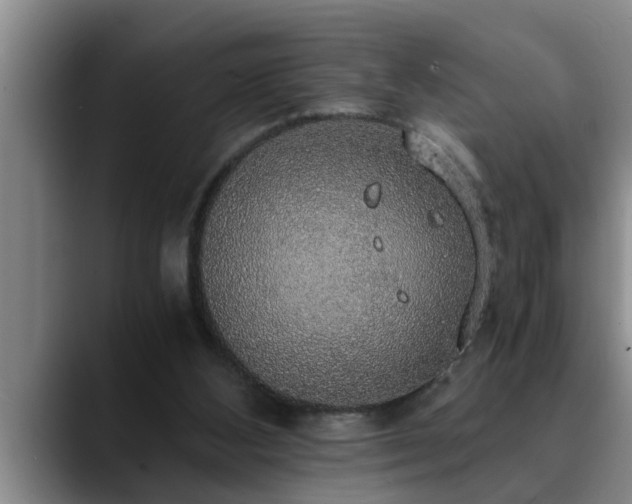 X0000090700108200707201204