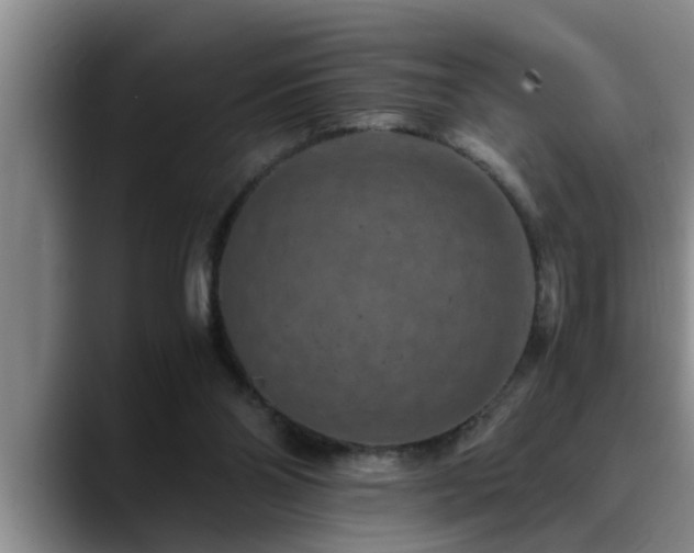 X0000090700110200707201204